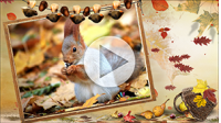 Осенние эффекты для слайд-шоу. Купить в allsoft.ru