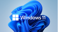 Windows 11 Professional GetGenuine Agreement (GGWA)