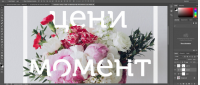 Купить Adobe Photoshop СС. Инструменты дизайнера