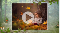 Шаблоны для слайд-шоу «Прогулка по лесу». Купить в allsoft.ru