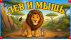 Для версии 2.0