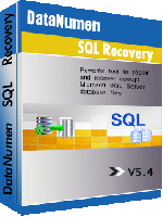 Купить DataNumen SQL Recovery